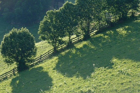 Landwirtschaftliche Immobilien